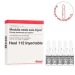 Medula-osea-suis-ampollas.-1766019025387