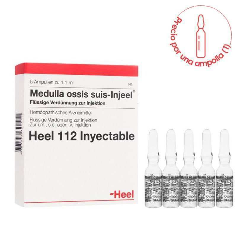 Medula-osea-suis-ampollas.-1766019025387