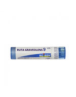 RUTA GRAVEOLENS 9CH-1766068793550