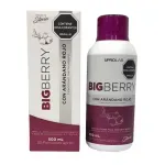 BIGBERRY X 500 ML-1766163222235