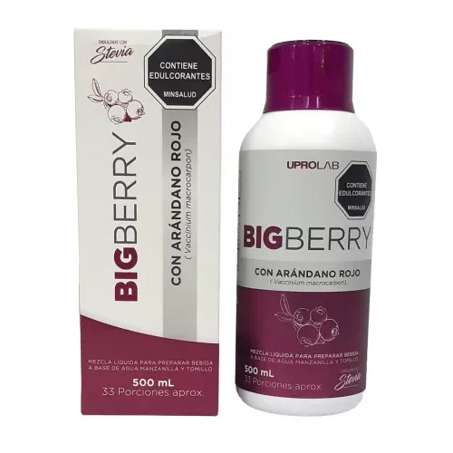 BIGBERRY X 500 ML-1766163222235